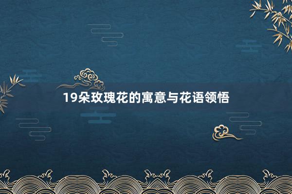19朵玫瑰花的寓意与花语领悟