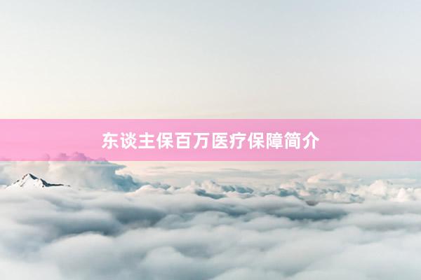 东谈主保百万医疗保障简介